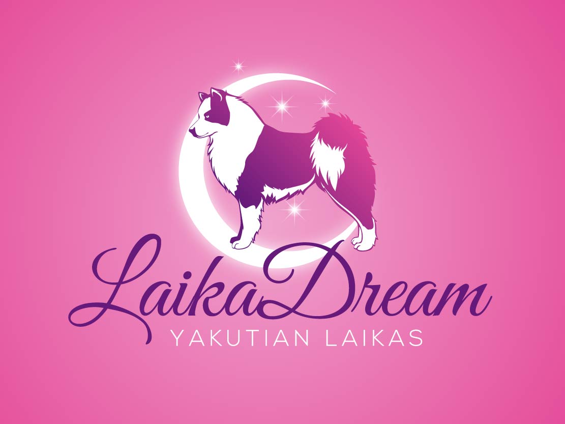 Logo Design by Dream Logo Design for this project | Design #36542127