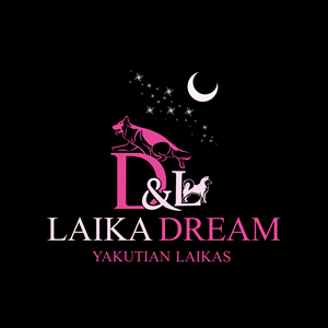 Logo Design by vanion282