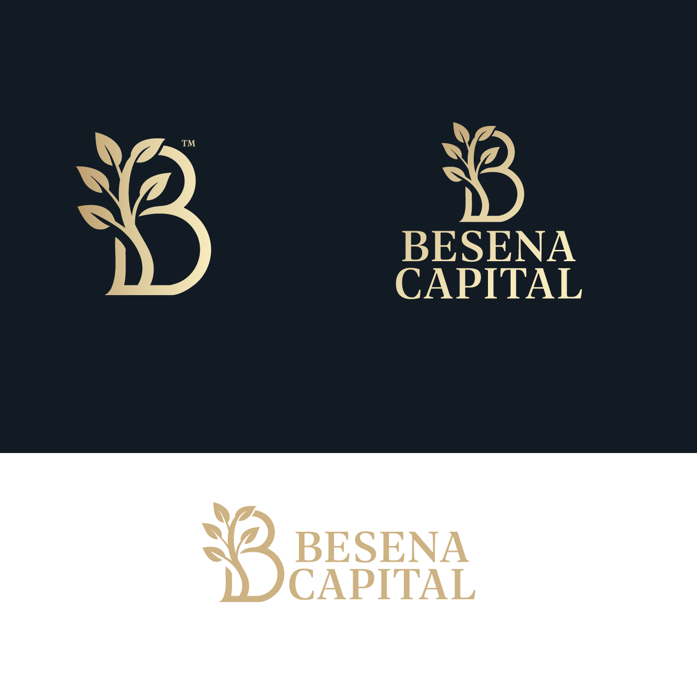 Diseño de Logo por Jose Lopez ( Verified Pro Designer ) para este proyecto | Diseño #36508355