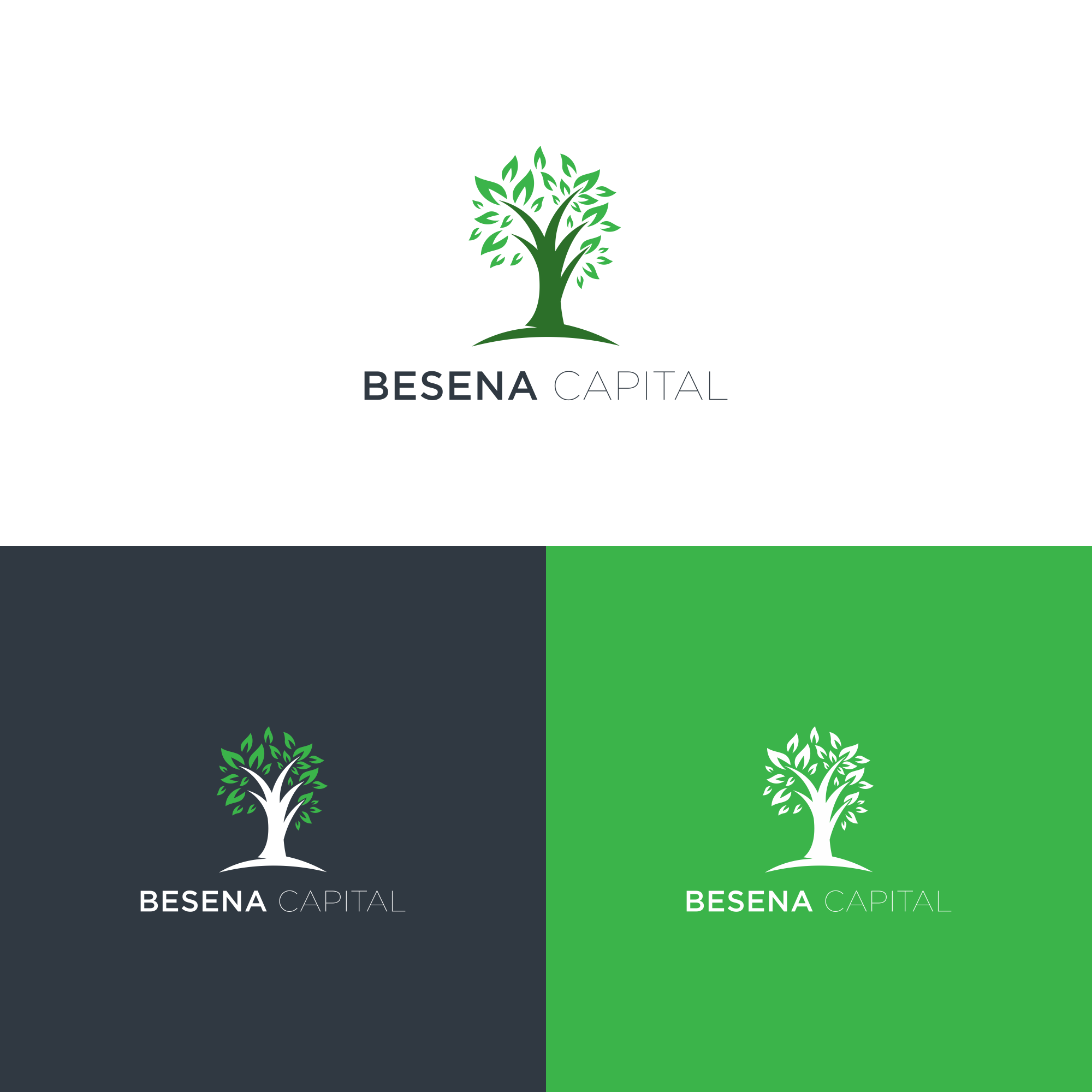 Logo Design by marselino ™ for this project | Design #36512329