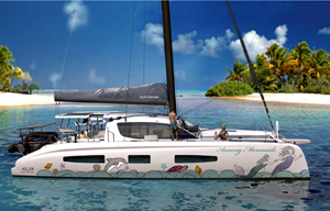 Diseño Vectorizado por Javelin Studio para este proyecto | Diseño #36564100