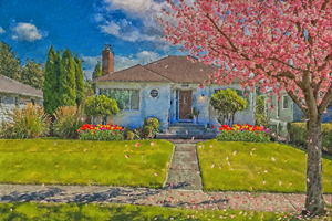 Art Design by vectoradics