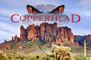 Graphic Design by Esli.O for this project | Design #36524601