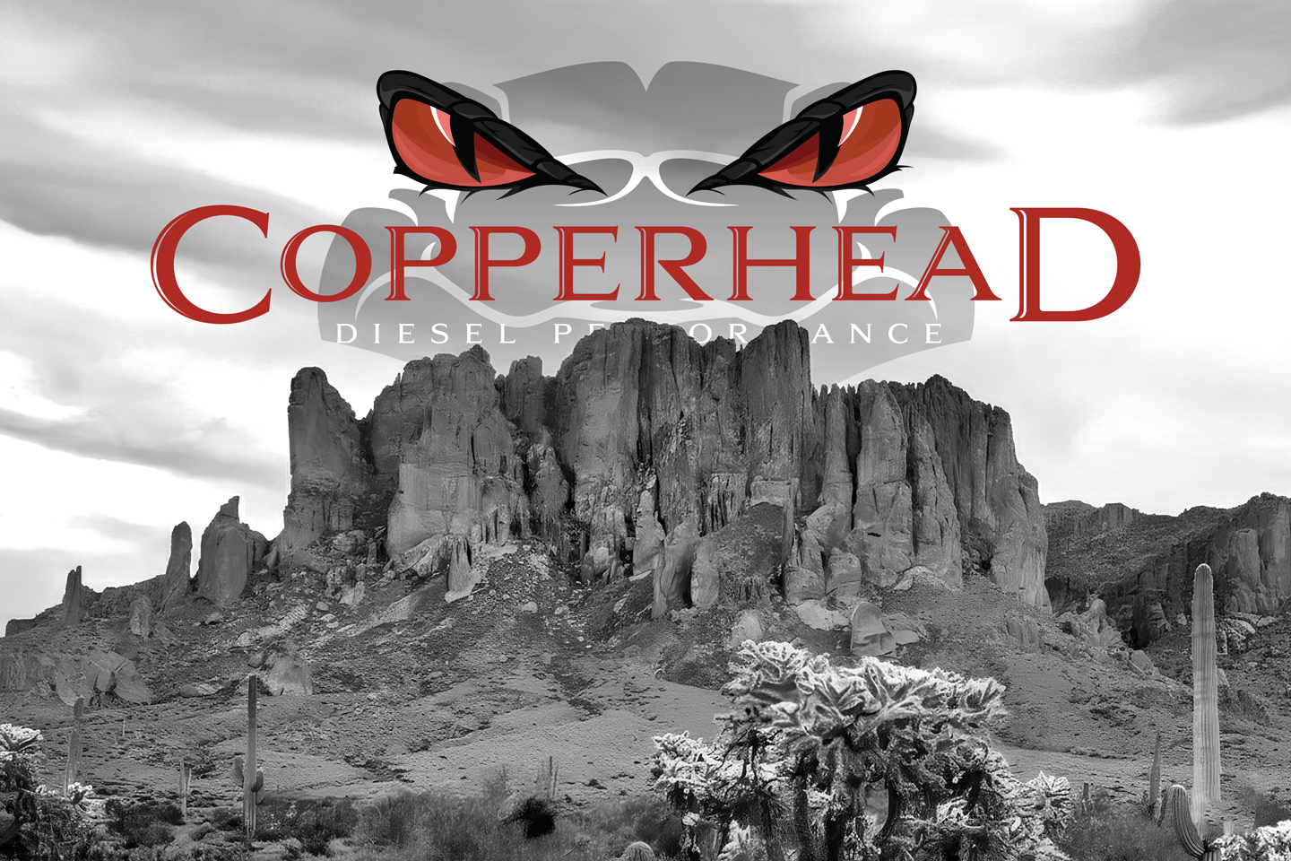 Graphic Design by Esli.O for this project | Design #36524603