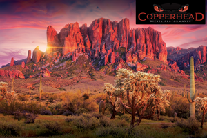 Grafik-Design von Gulsher für dieses Projekt | Design: #36571930