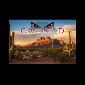 Grafik-Design von ***strange*** für dieses Projekt | Design: #36522246