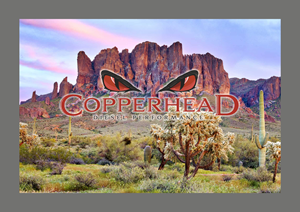 Graphic Design by Maestroto for this project | Design #36522287