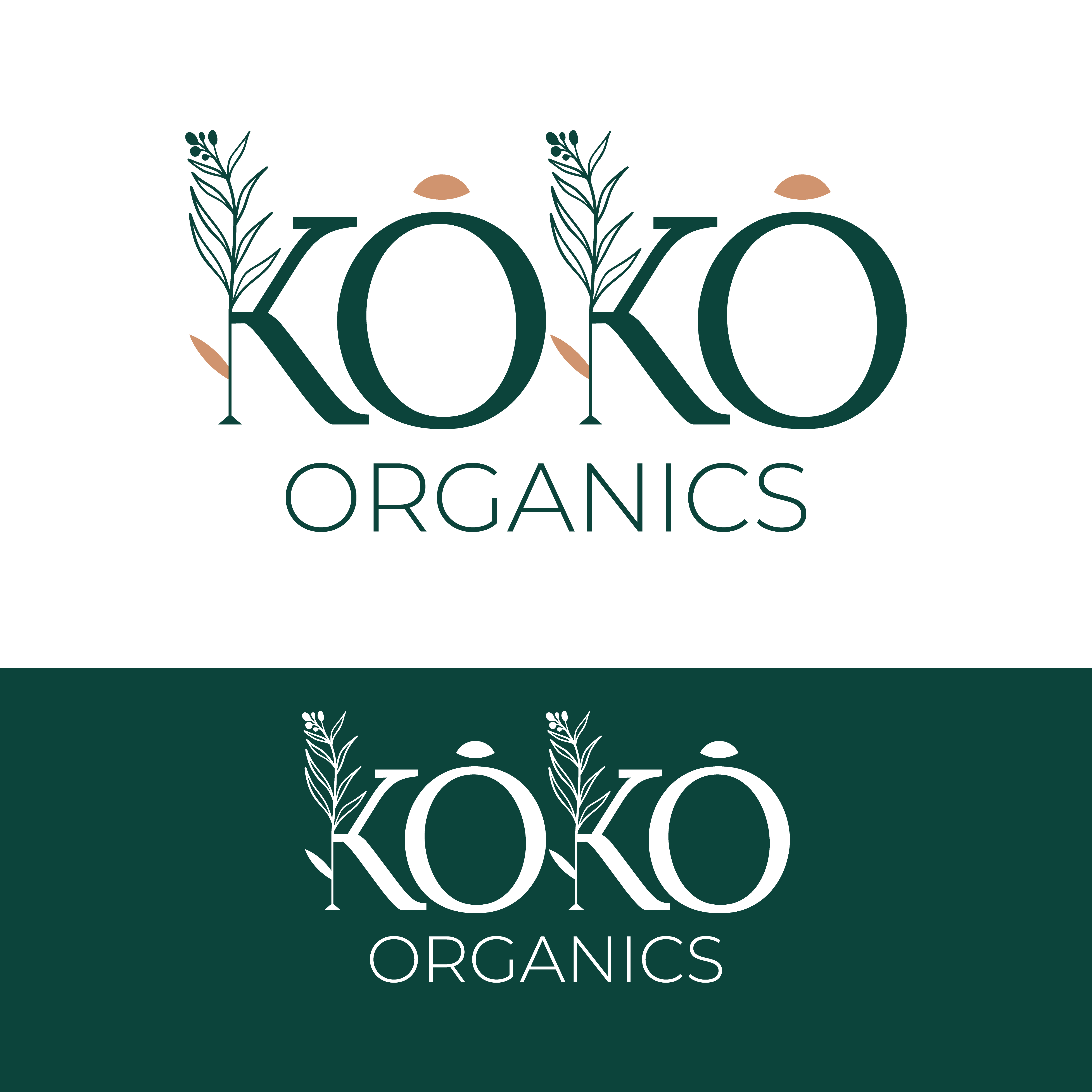 Logo-Design von MD ROIECH UZZAMAN für dieses Projekt | Design #36533577