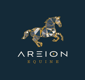 Logo Design by Onse Officials