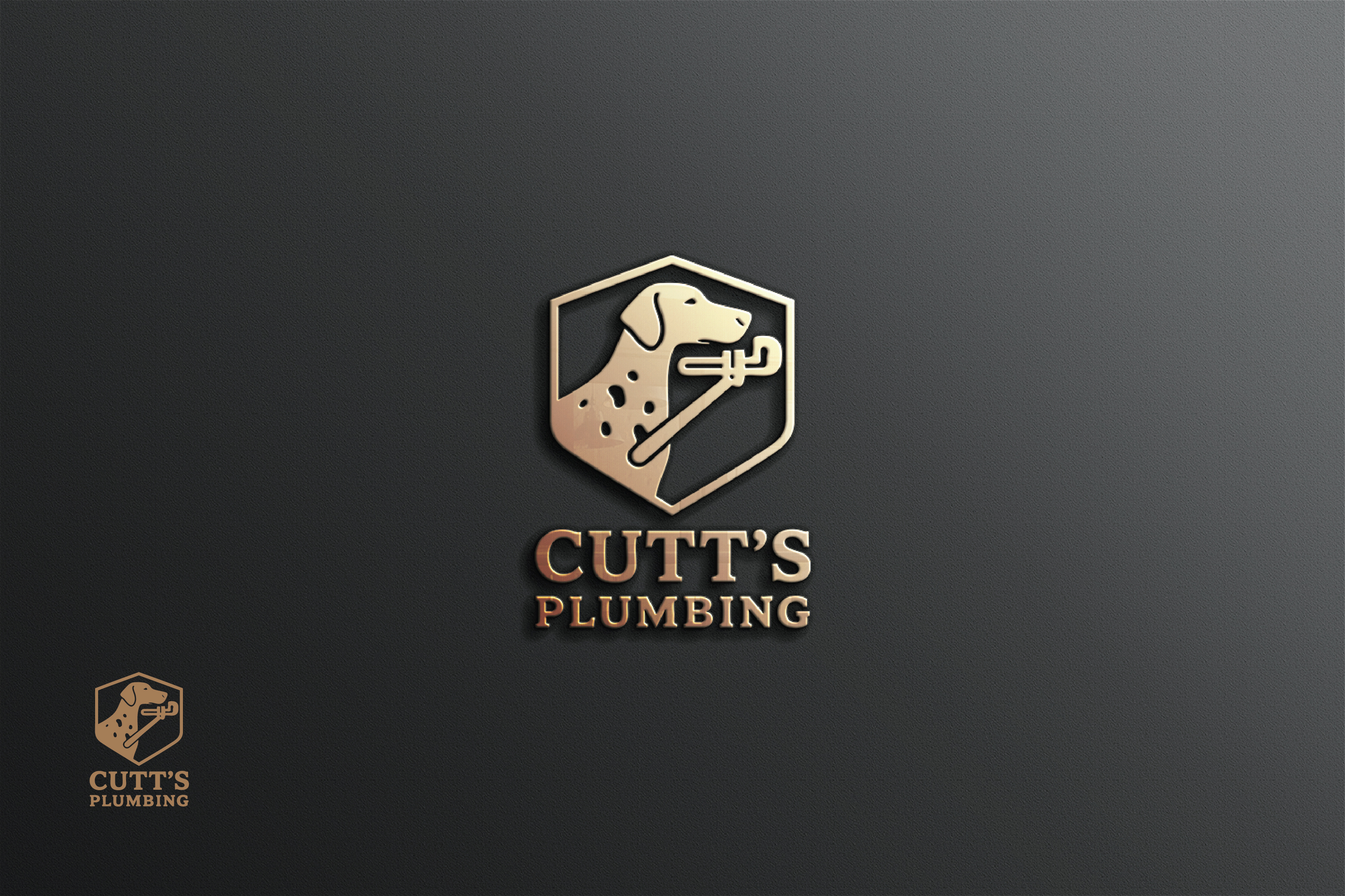 Logo Design by raju.creative for this project | Design #36539187