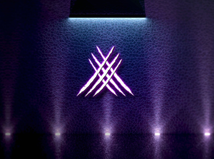 Logo Design by designgreen for Punkza | Design: #36554136