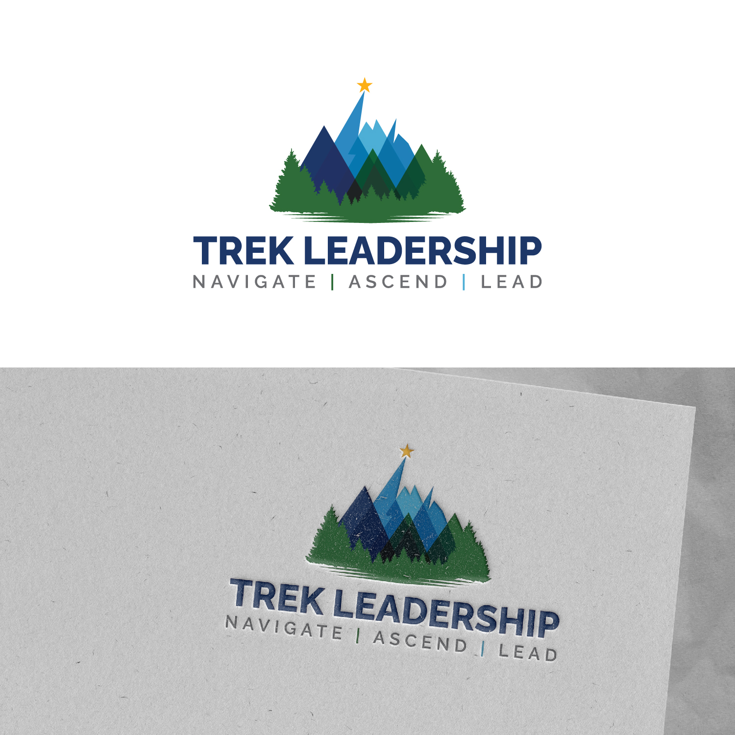 Design de Logo par Maxo-Biz pour ce projet | Design #36544874