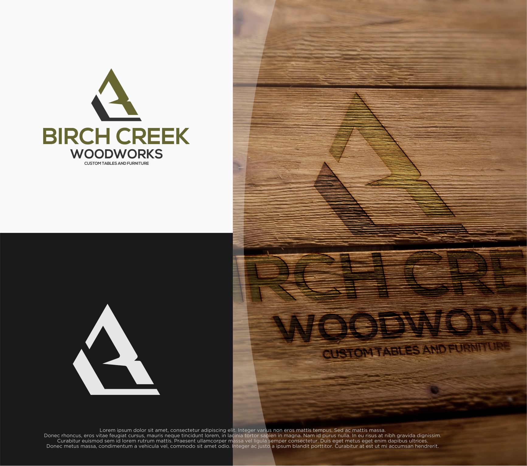 Logo Design by shiroRo for this project | Design #36566338