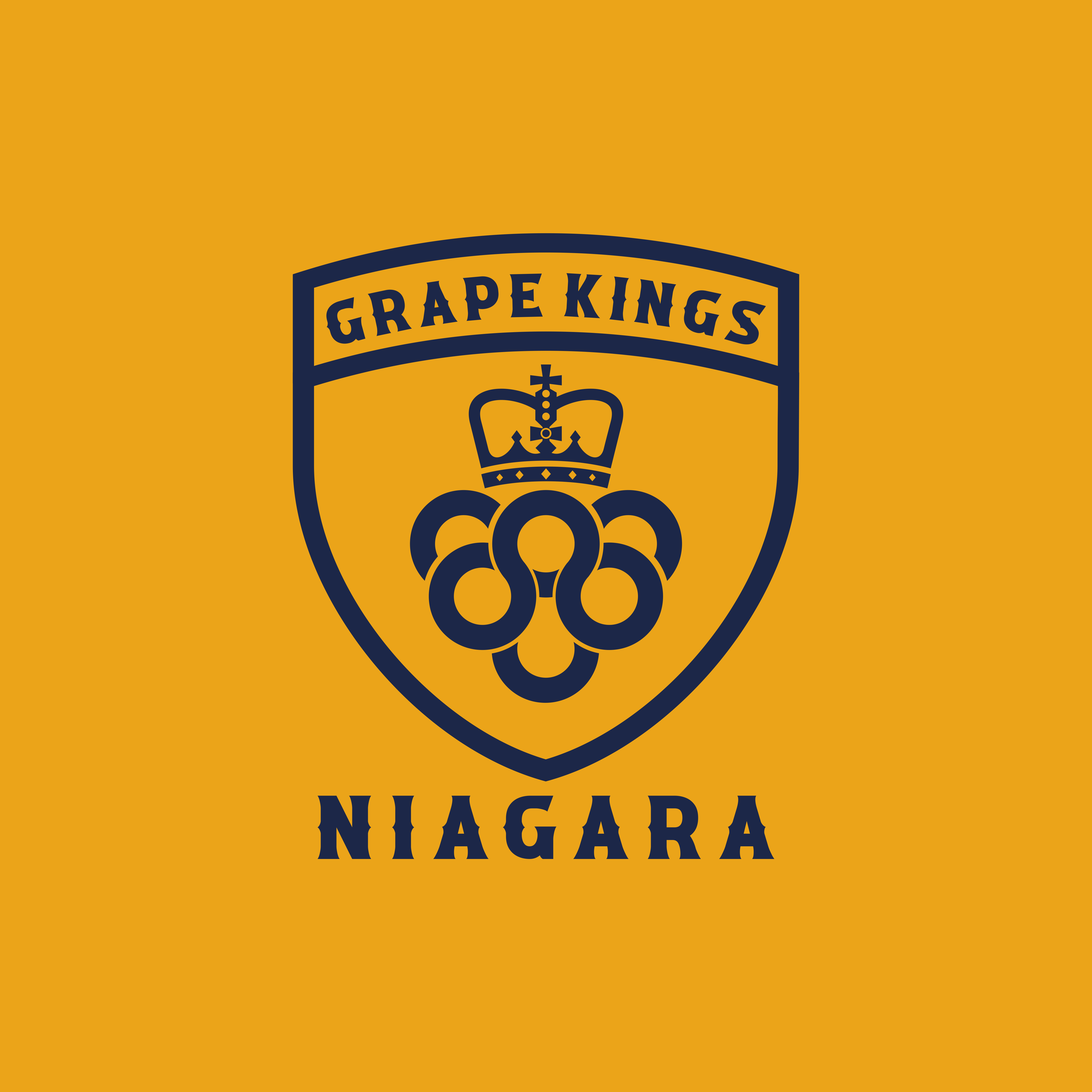 Logo Design by Astro D for this project | Design #36552840