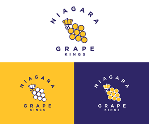 Logo Design by Ansh Design for this project | Design: #36556051