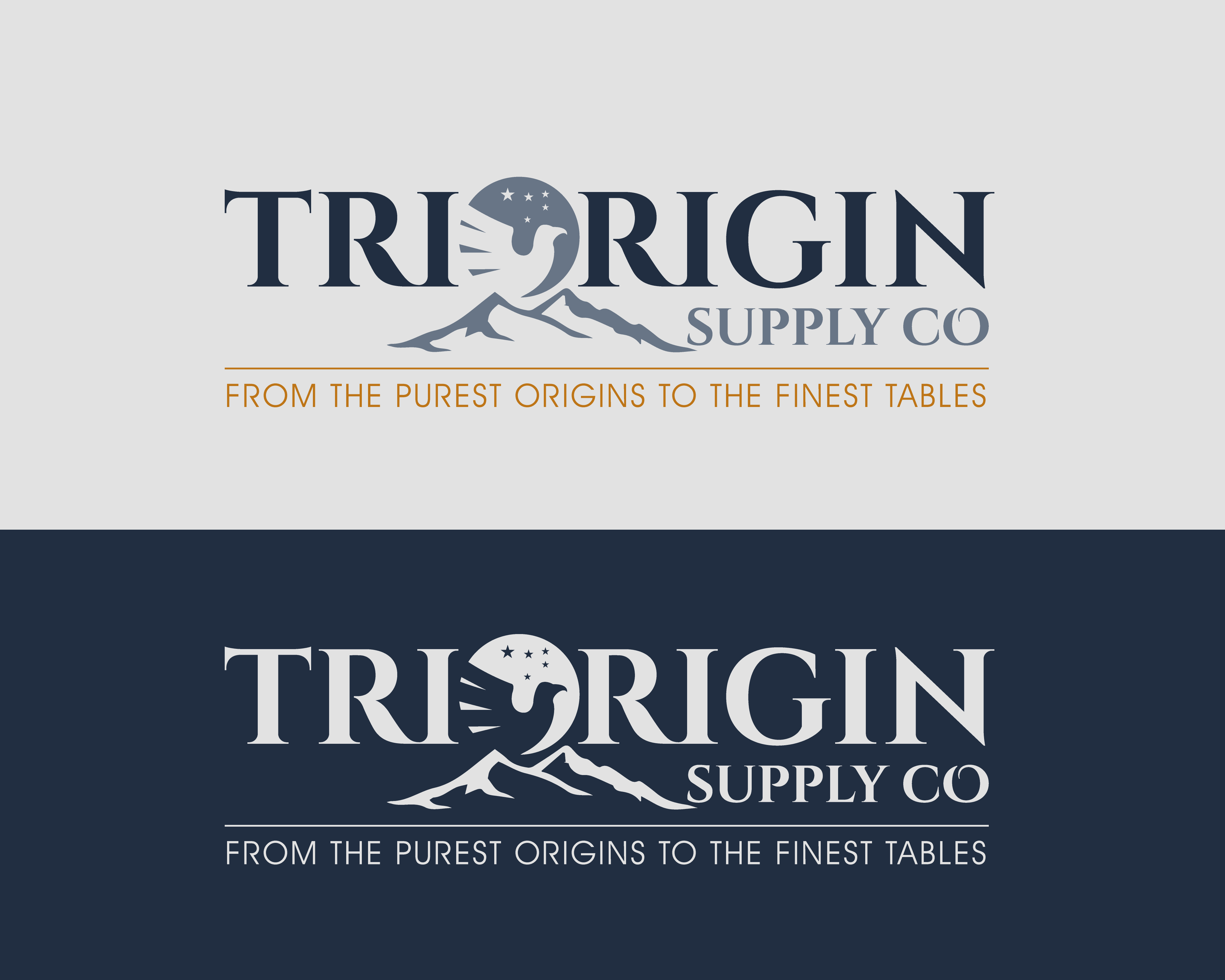 Diseño de Logo por Zbiz para TriOrigin Supply Co LLC  | Diseño #36554184