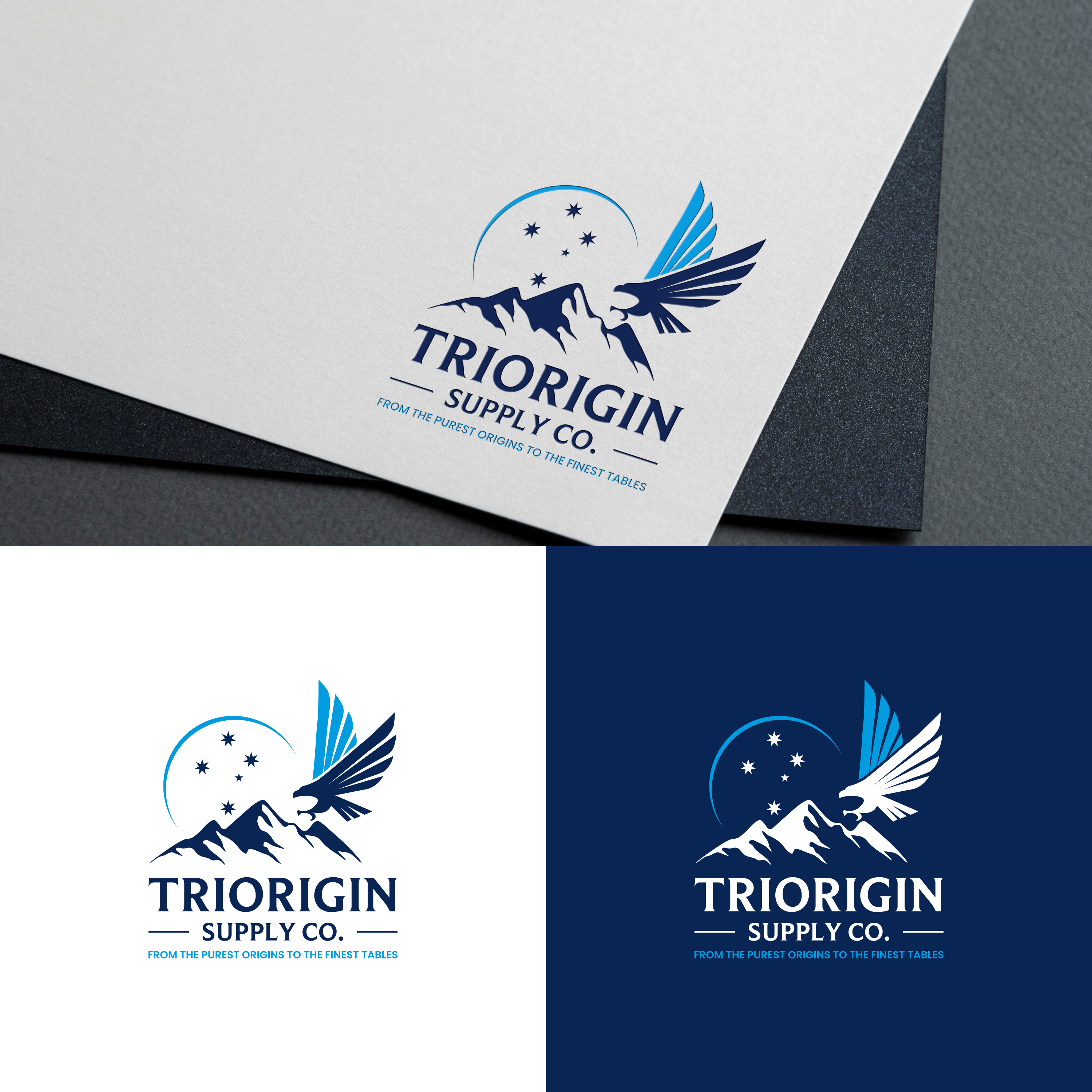 Logo Design by syad666 for TriOrigin Supply Co LLC  | Design #36553048