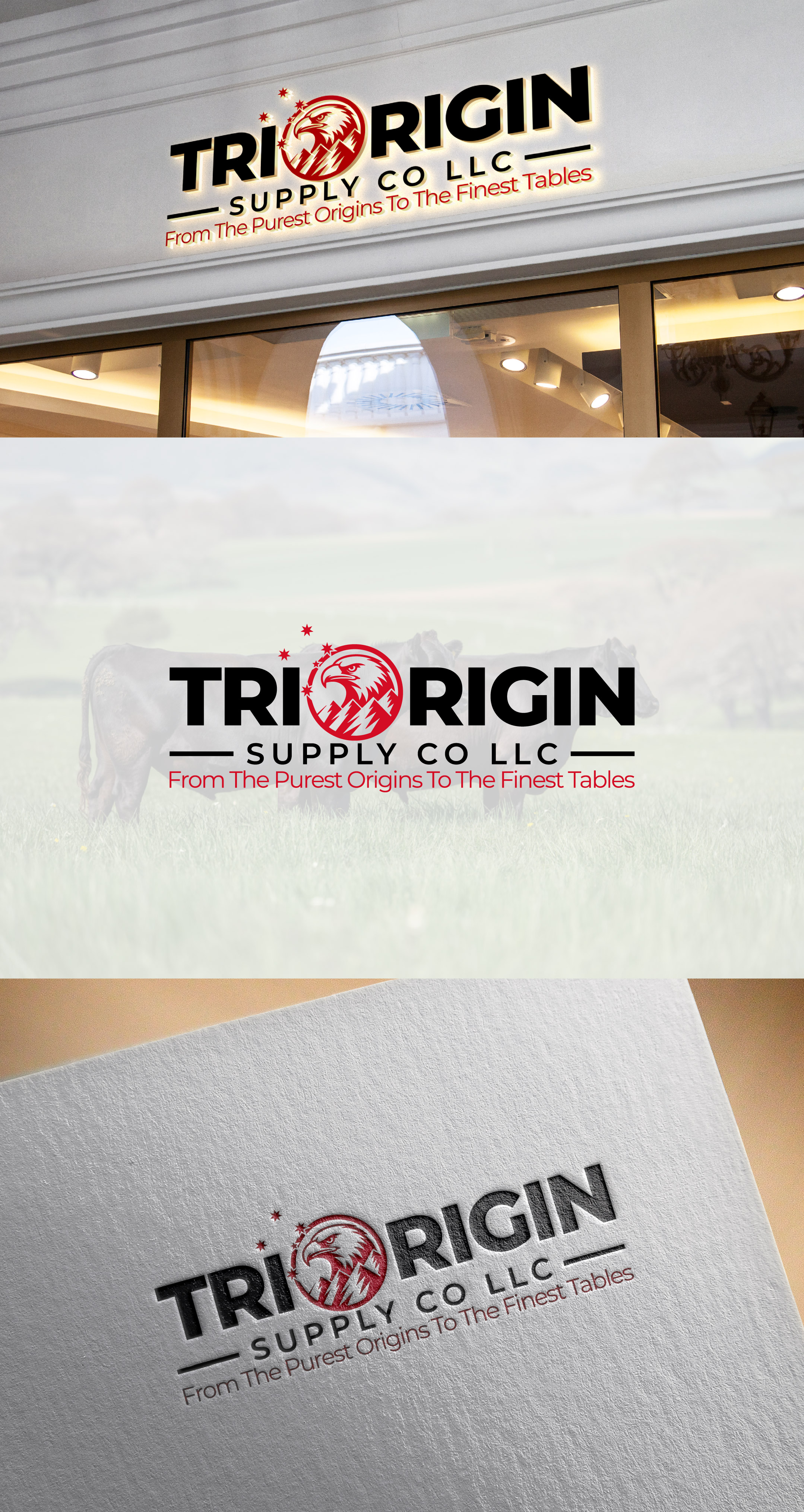 Logo-Design von THE DESIGN MAN für TriOrigin Supply Co LLC  | Design #36558350