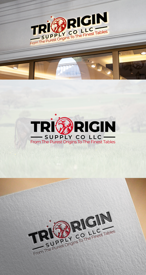 Logo-Design von THE DESIGN MAN für TriOrigin Supply Co LLC  | Design: #36558350