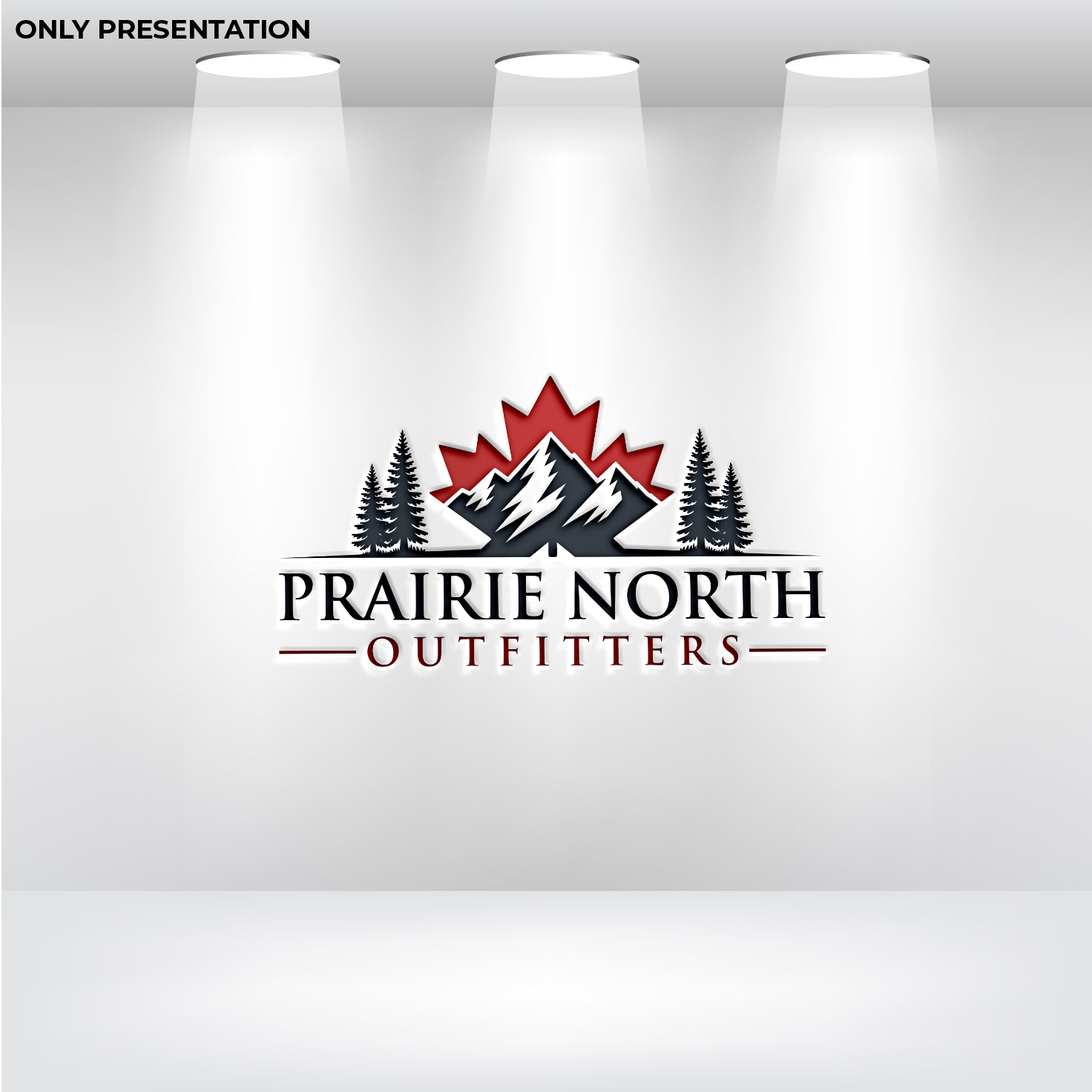 Diseño de Logo por DesignVerse777 para este proyecto | Diseño #36572813