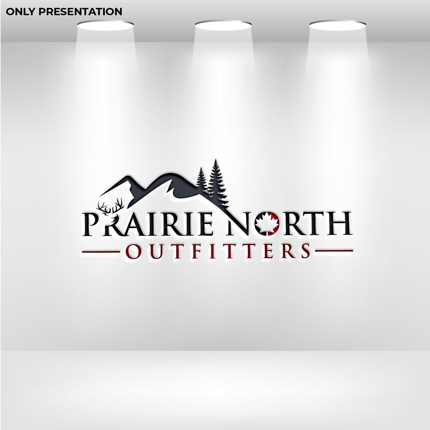 Diseño de Logo por DesignVerse777 para este proyecto | Diseño #36572815