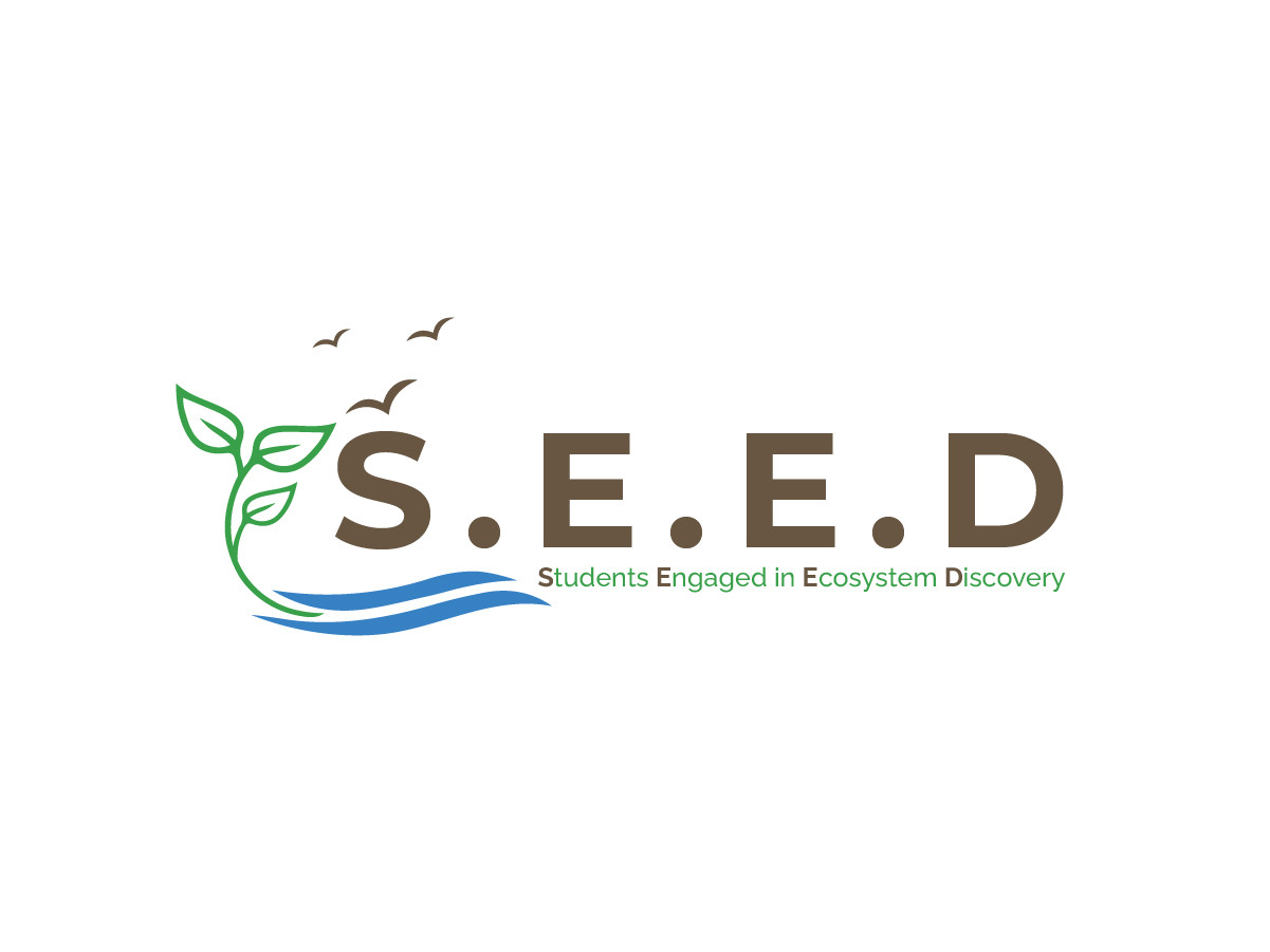 Diseño de Logo por Owltive para este proyecto | Diseño #36575721