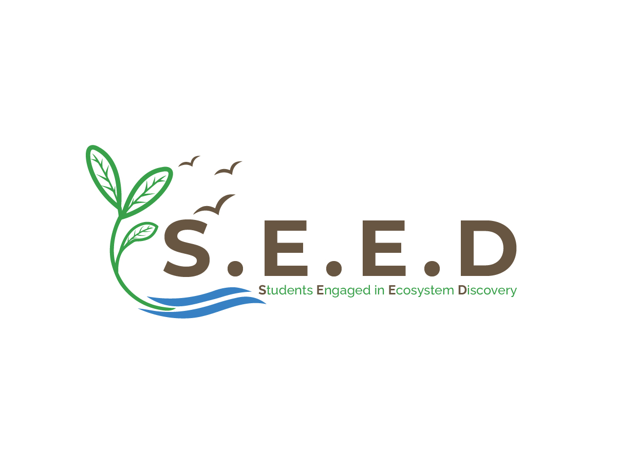 Logo Design by Owltive for this project | Design #36592183