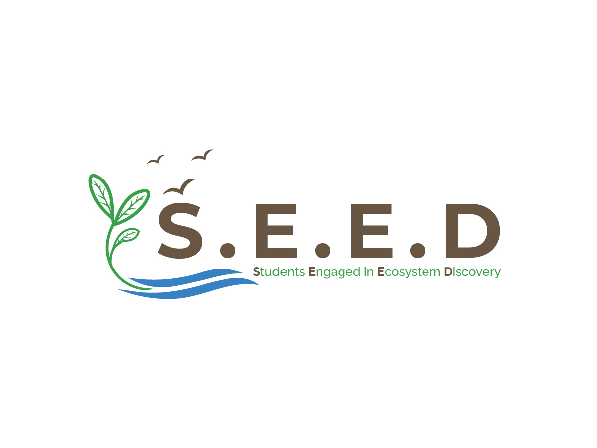 Diseño de Logo por Owltive para este proyecto | Diseño #36592184