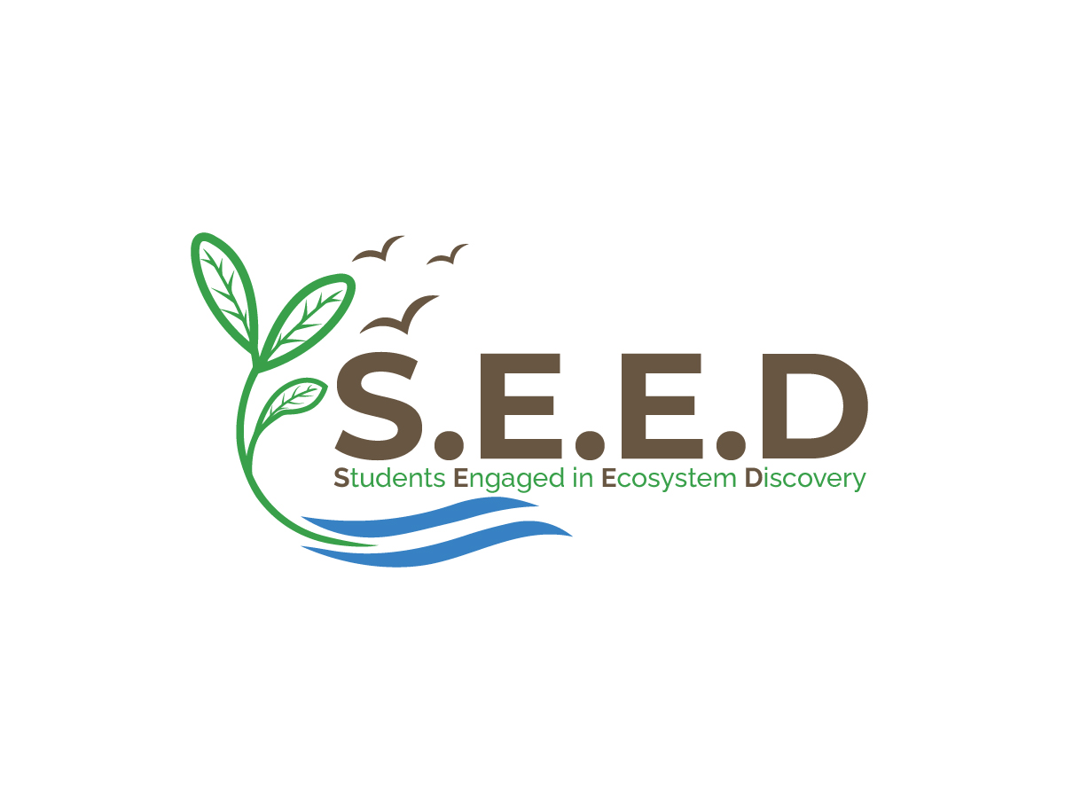 Diseño de Logo por Owltive para este proyecto | Diseño #36592212