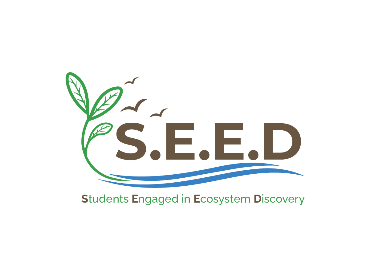 Logo Design by Owltive for this project | Design #36592214