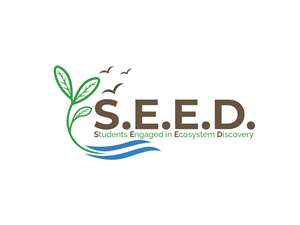 Diseño de Logo por Owltive