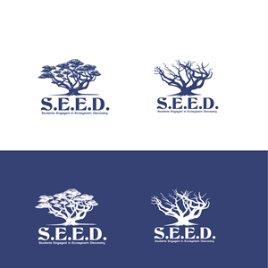 Diseño de Logo por dskyvbc para este proyecto | Diseño #36588202