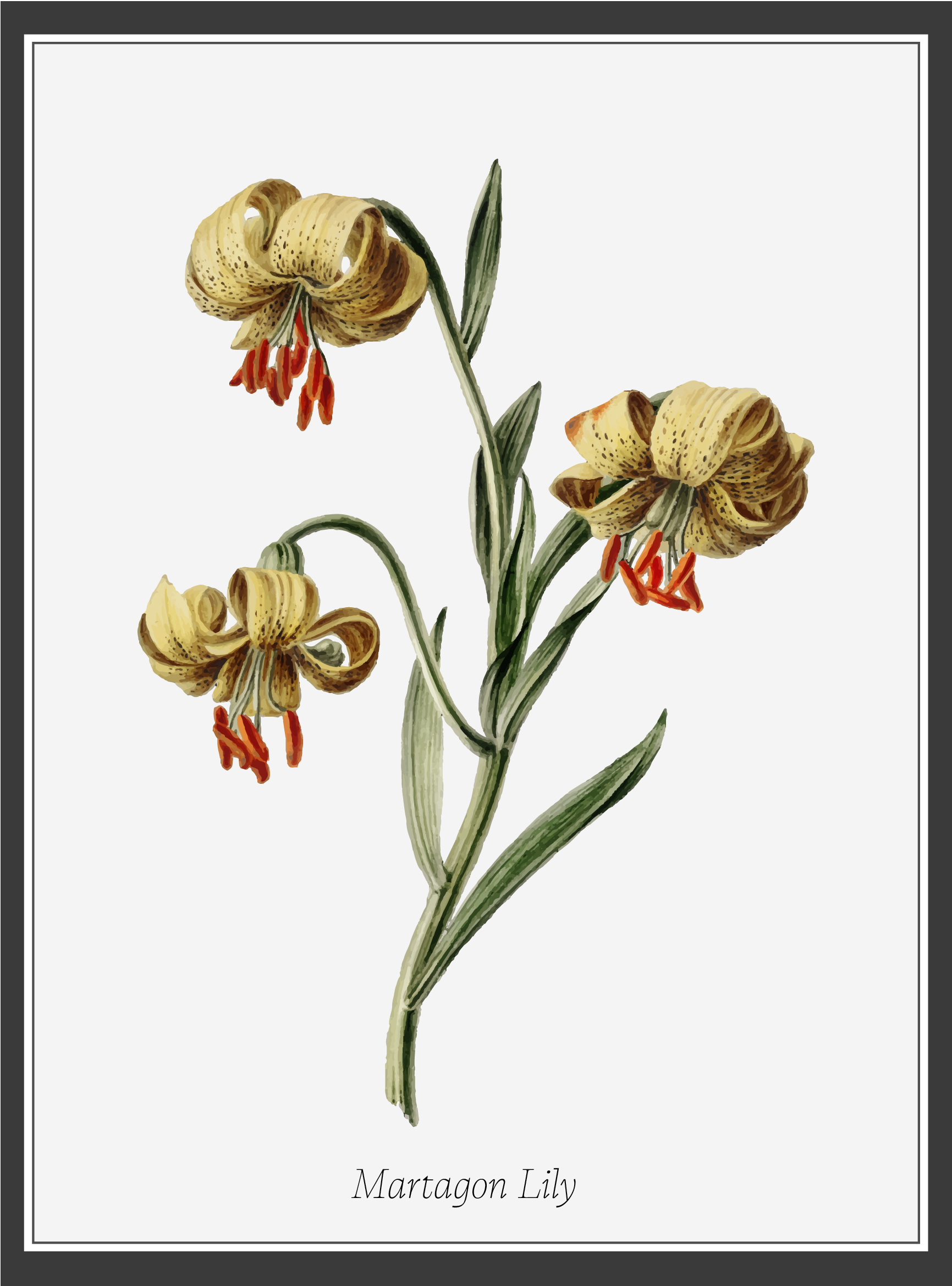 Design Graphique par N_Design pour ce projet | Design #36595082