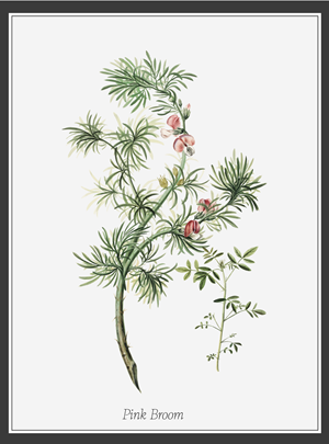 Design Graphique par N_Design pour ce projet | Design : #36595289