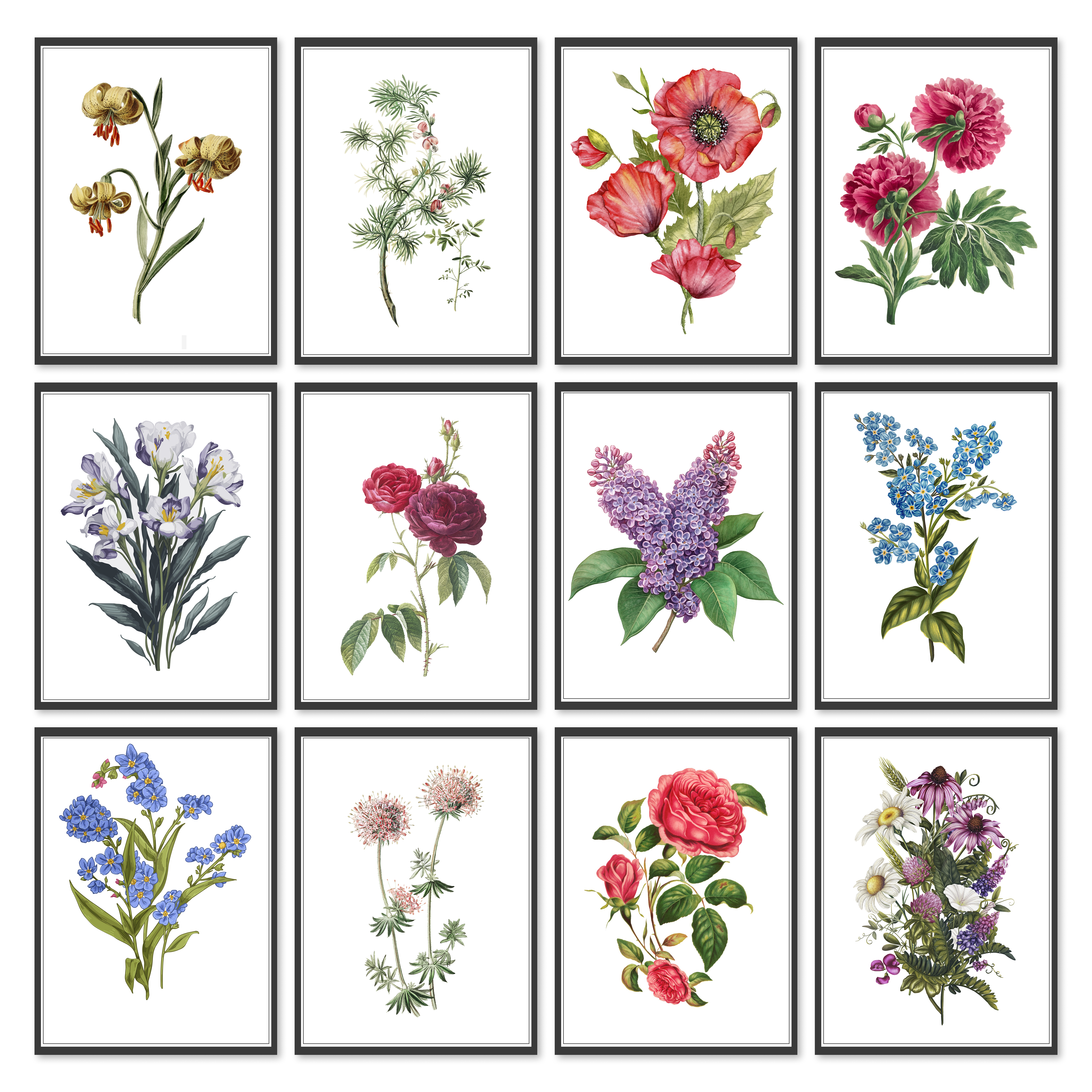 Graphic Design by N_Design for this project | Design #36596681