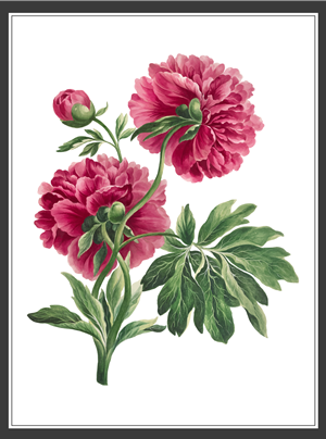 Design Graphique par N_Design pour ce projet | Design : #36596706