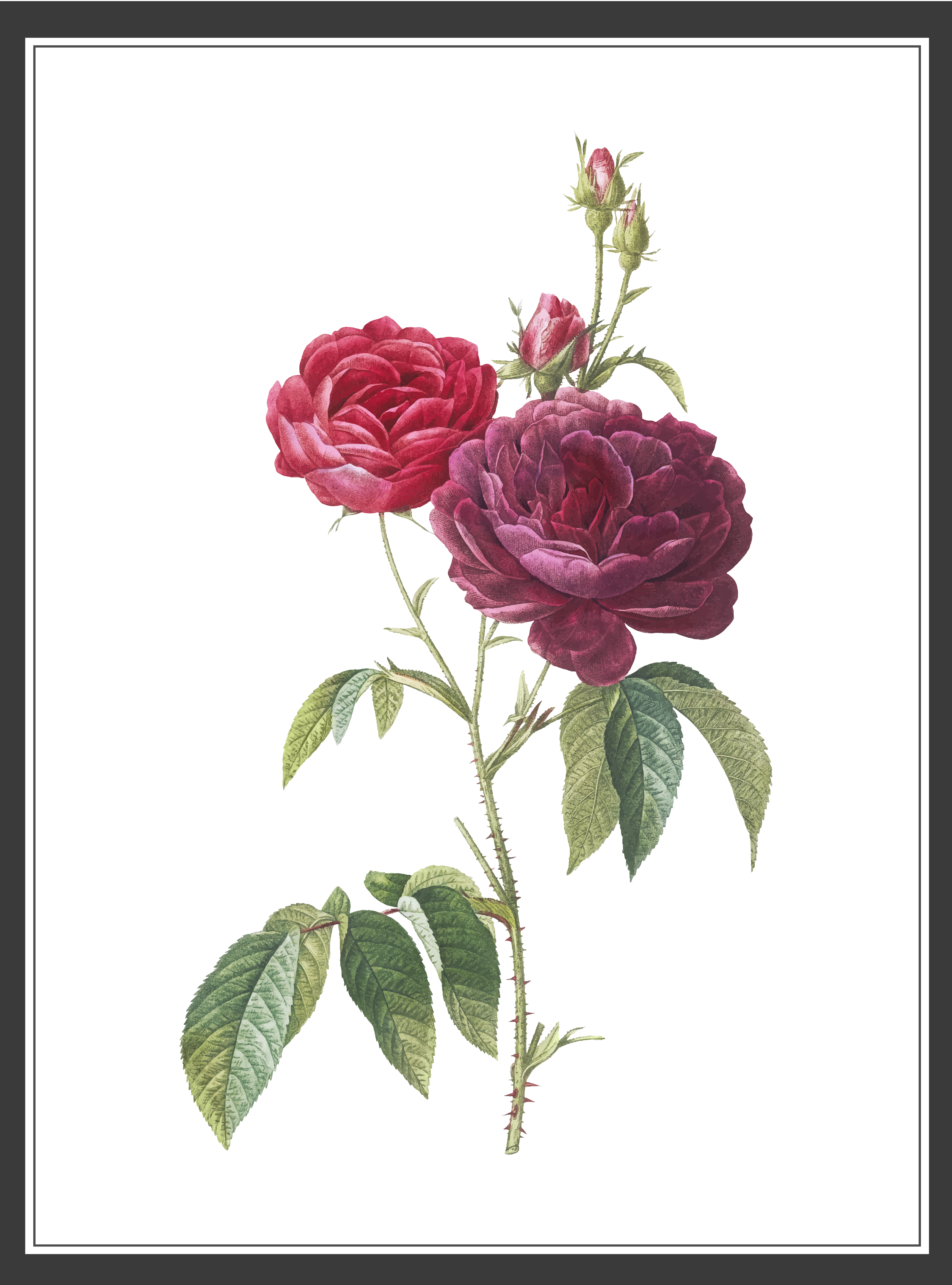 Design Graphique par N_Design pour ce projet | Design #36596708