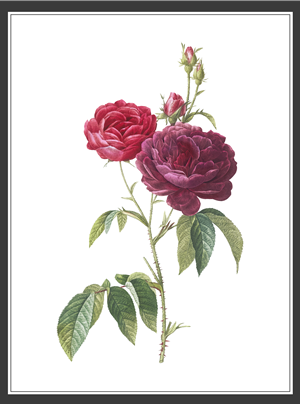 Design Graphique par N_Design pour ce projet | Design : #36596708