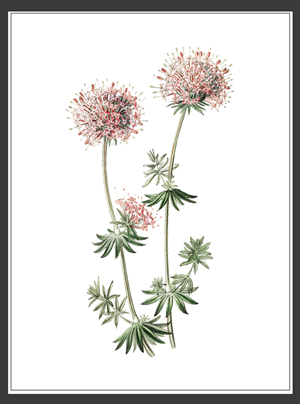 Design Graphique par N_Design pour ce projet | Design : #36596715