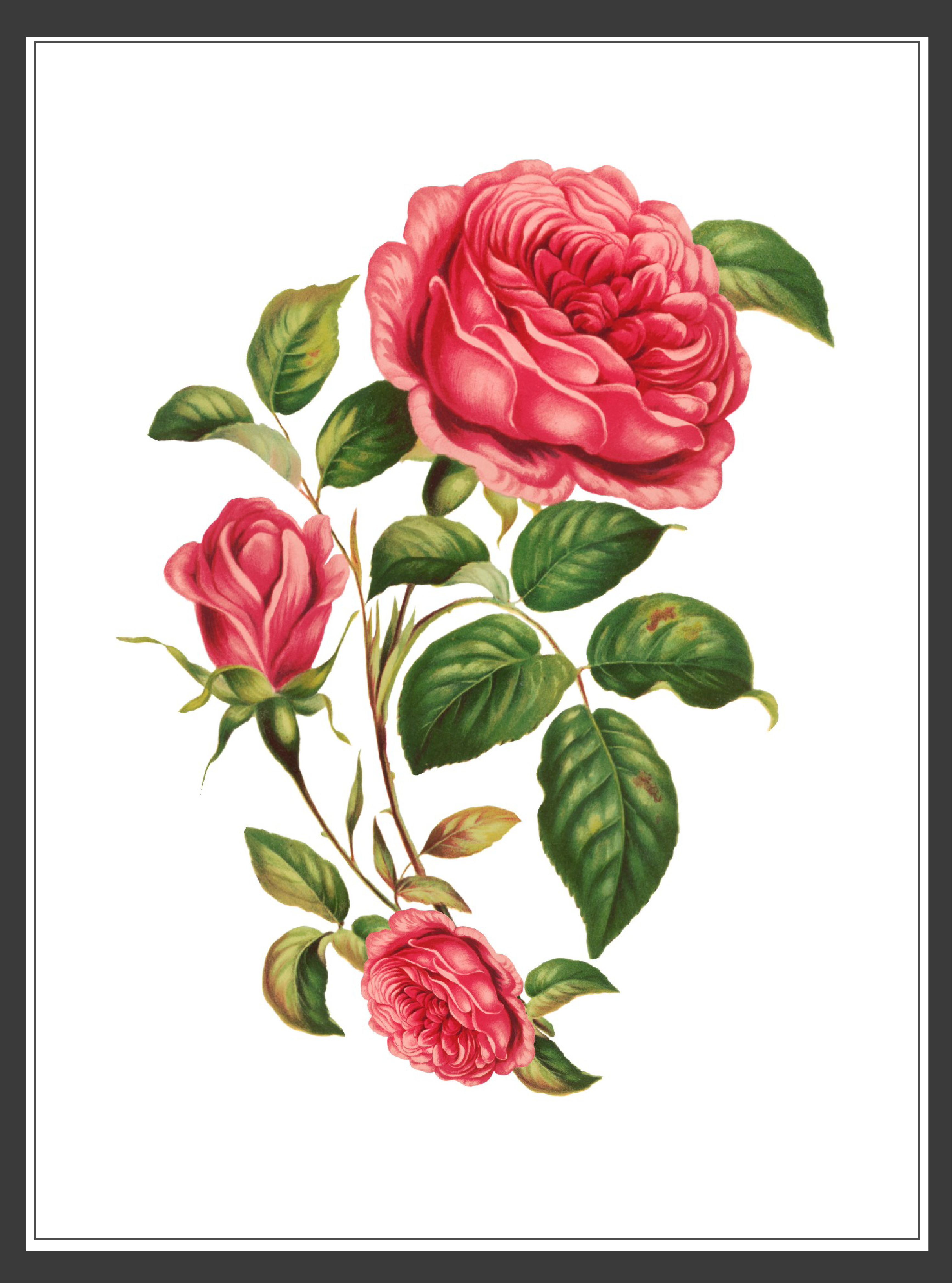 Design Graphique par N_Design pour ce projet | Design #36596716