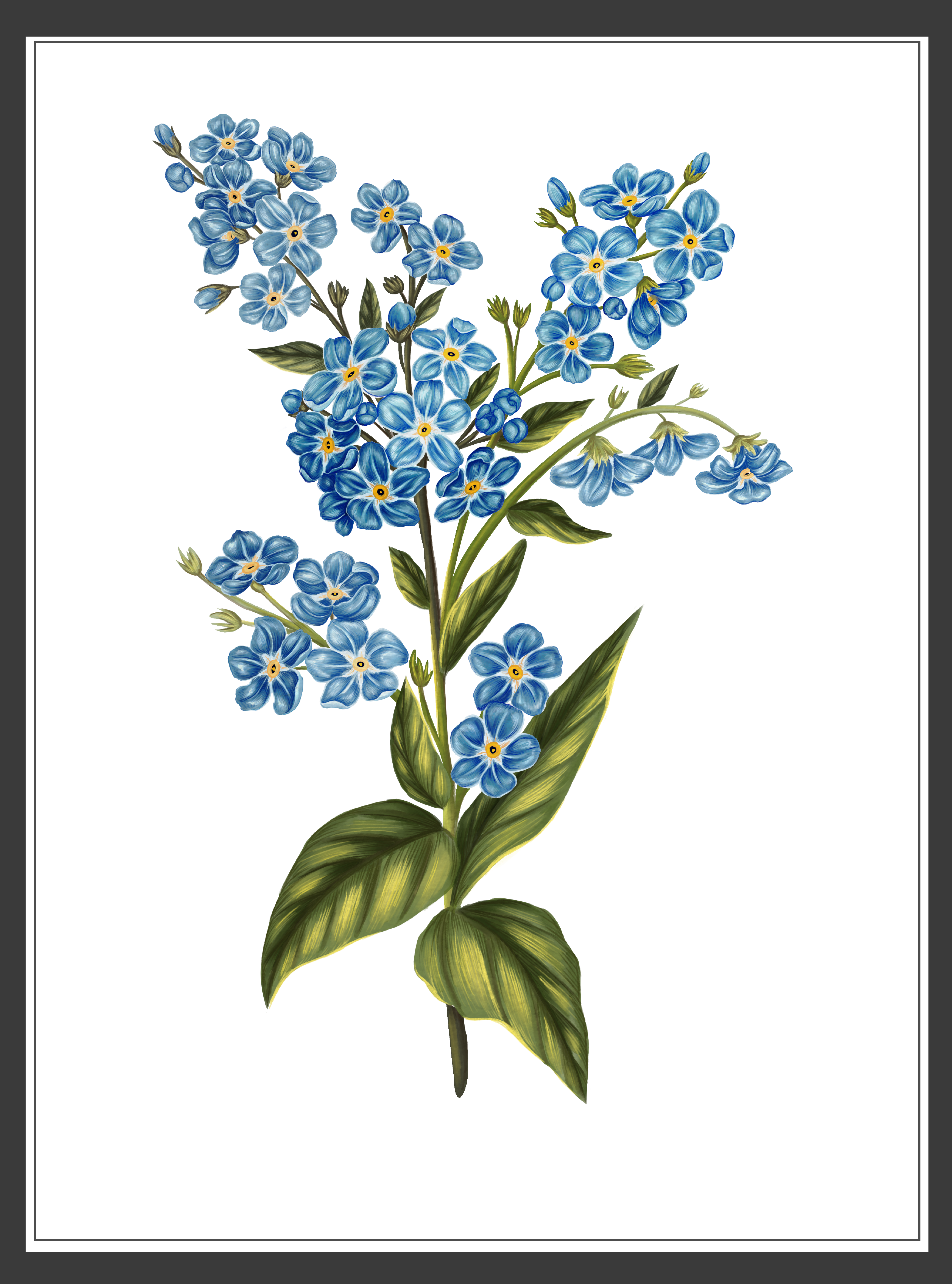 Diseño Gráfico por N_Design para este proyecto | Diseño #36596717