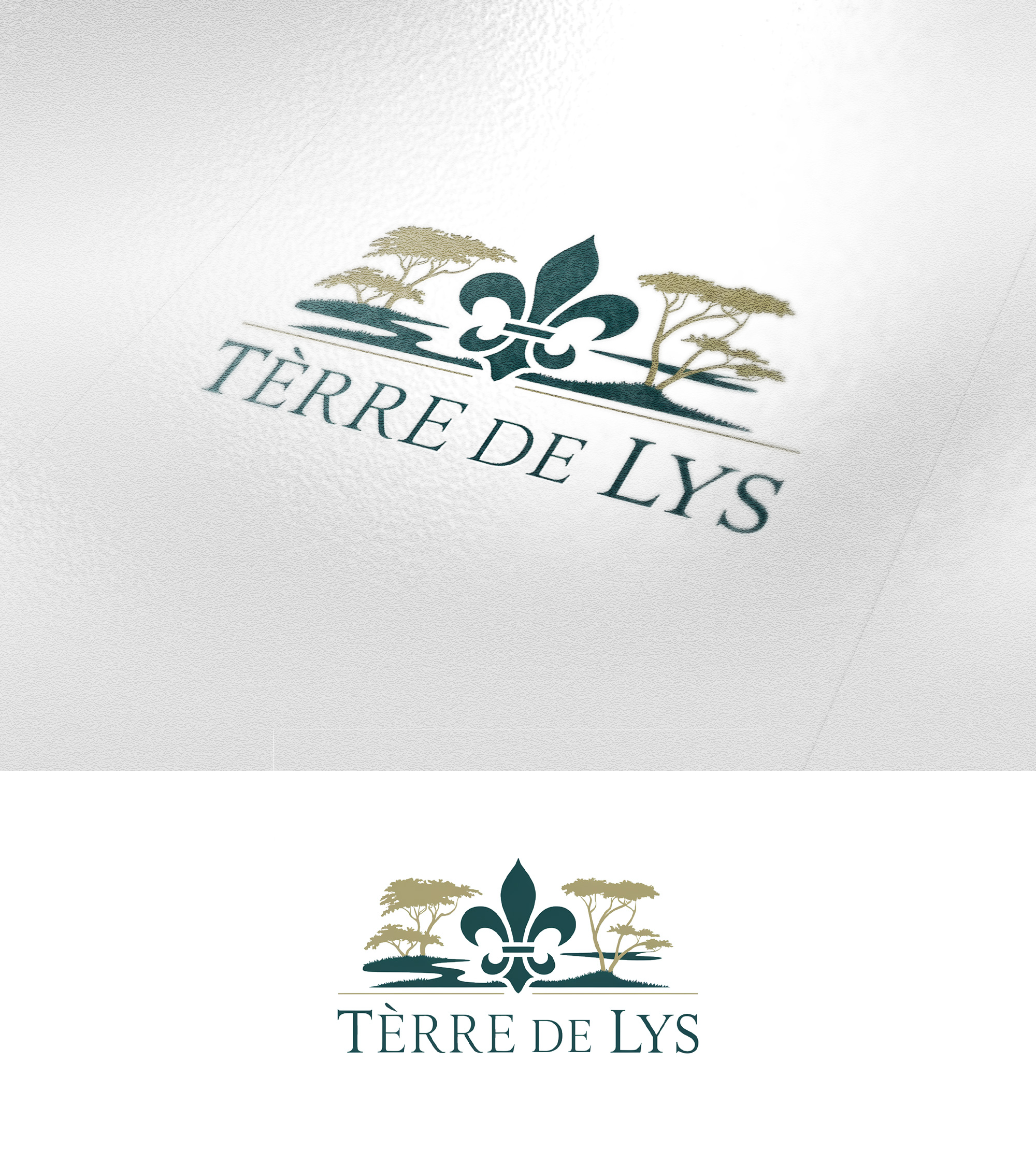 Graphic Design by Designz Zone for this project | Design #36570030