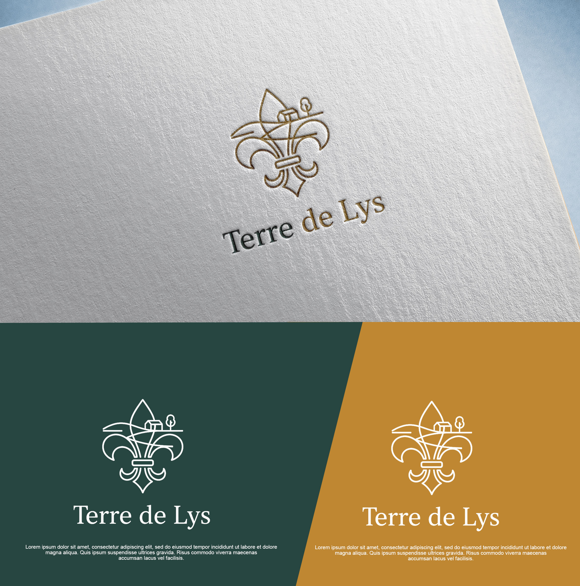 Diseño Gráfico por TD  Graphix Hub para este proyecto | Diseño #36569620