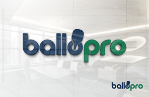 Logo Design by Designz Zone