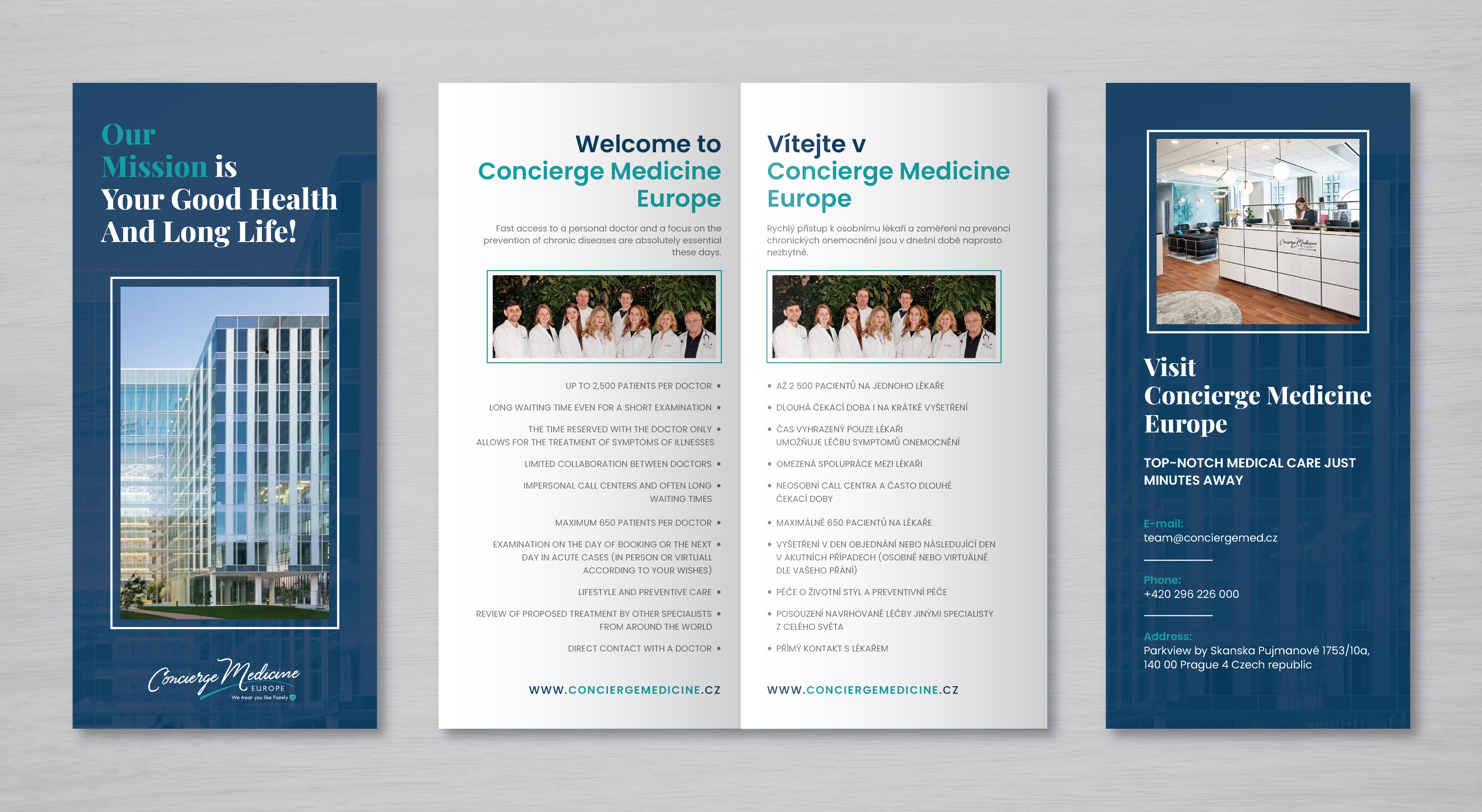 Infographic Design by artbitin for this project | Design #36588462