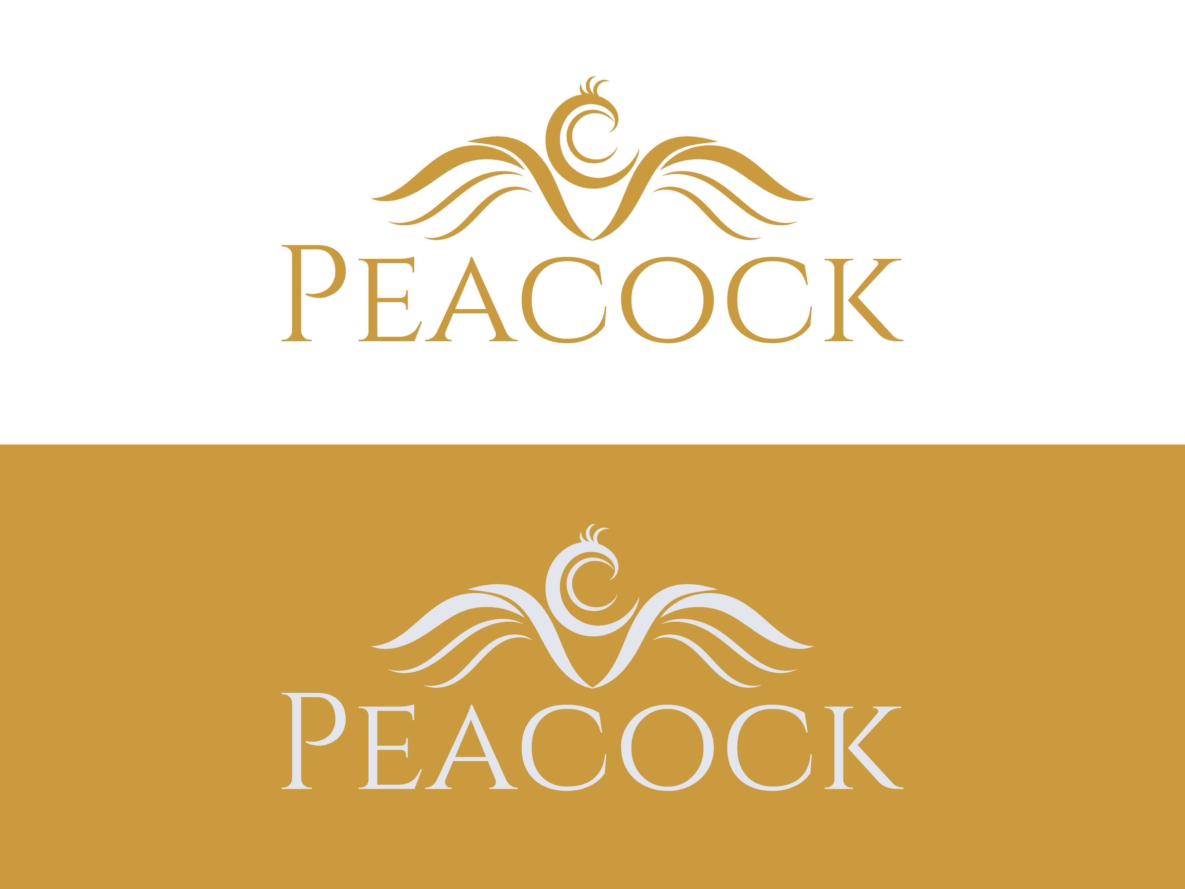 Logo Design by HaveTake for this project | Design #36584011