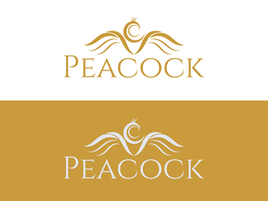 Logo Design by HaveTake