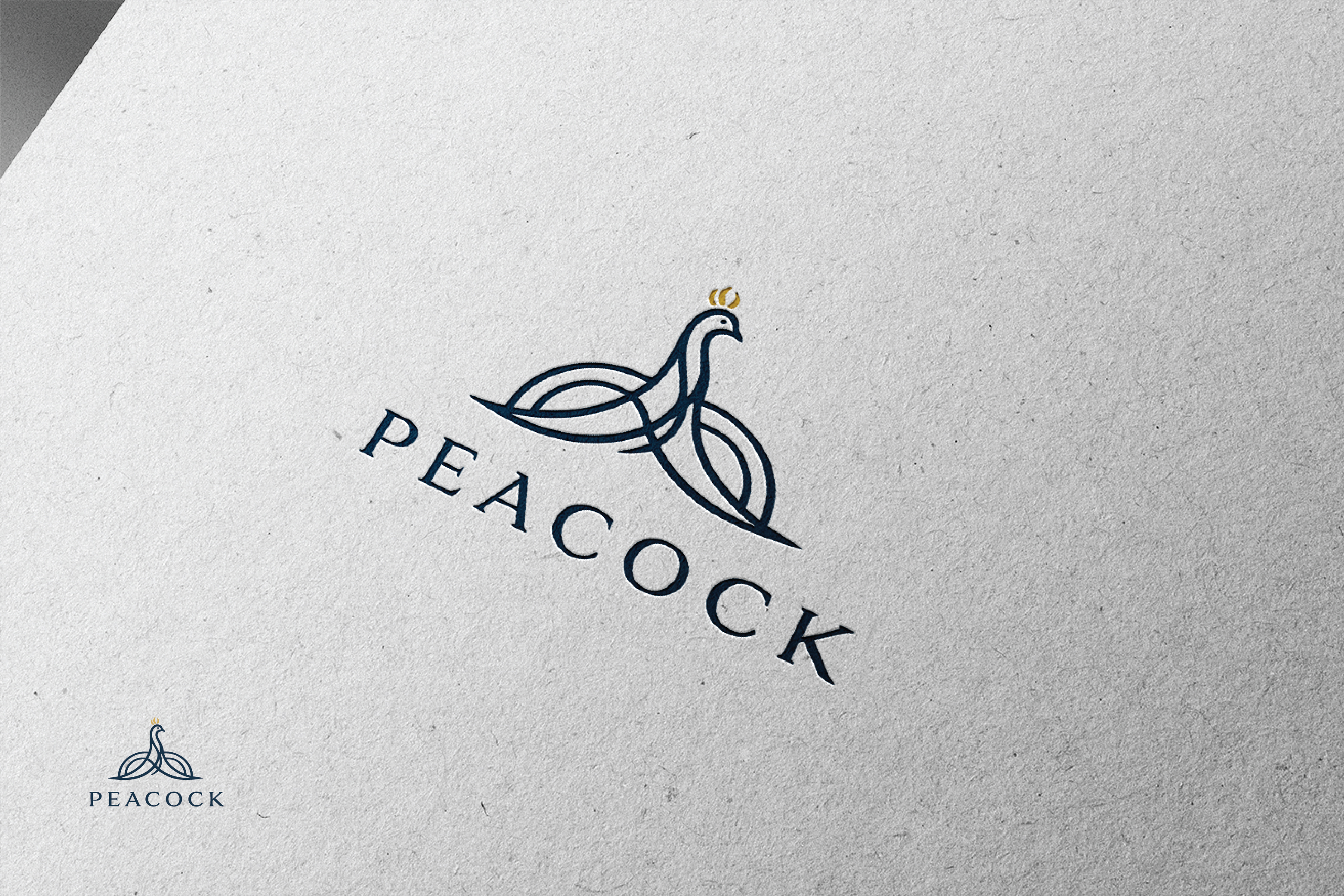 Logo Design by raju.creative for this project | Design #36585616