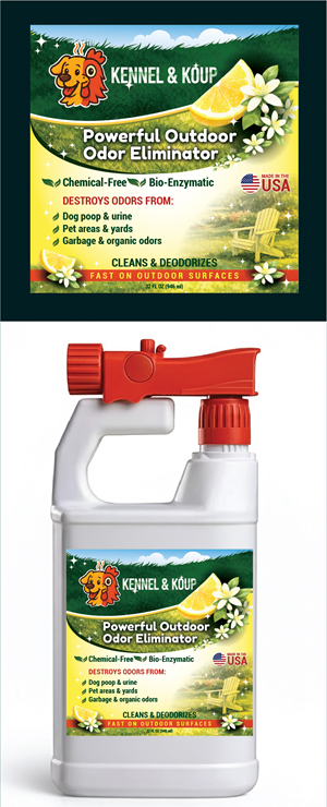 Graphic Design by ally designs