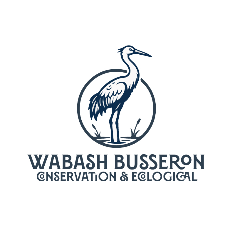 Logo-Design von FQ Designs für dieses Projekt | Design #36619315